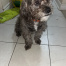 Caesar aka Ceazy