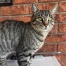 Billy