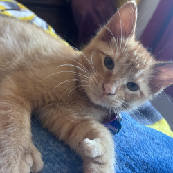 Charlie