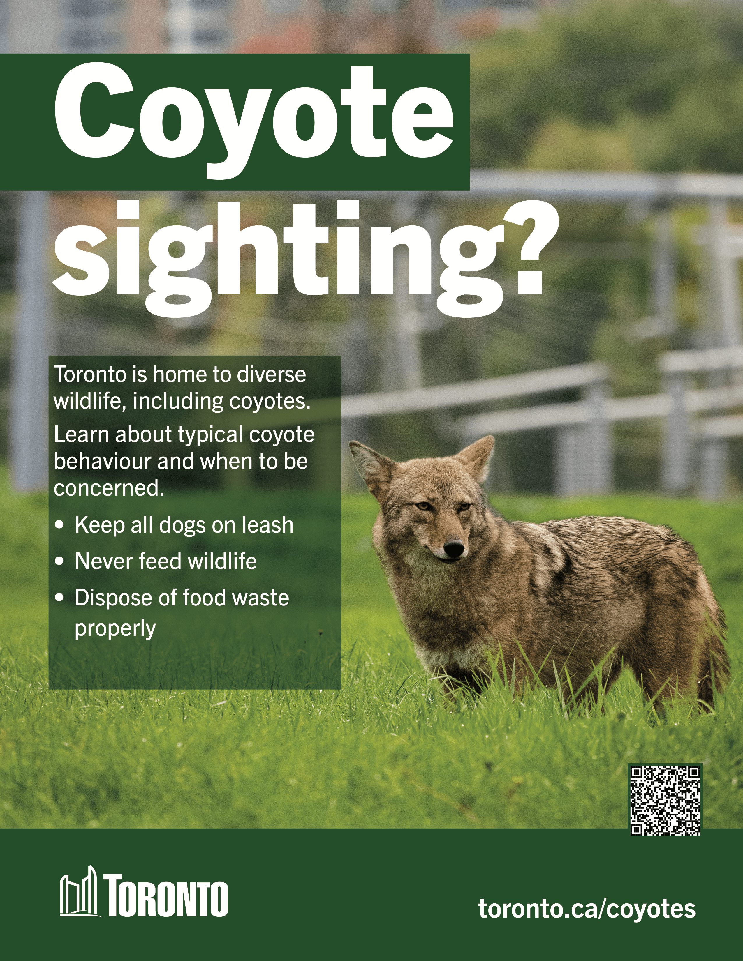 Coyote Campaign image